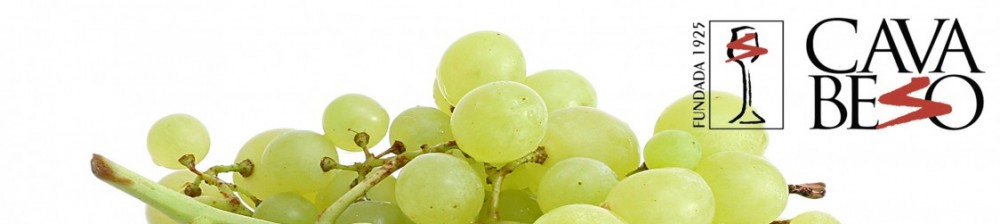 CAVA BESO